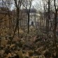 Cementerio Judío, Praga