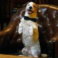 Pancho