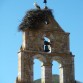 La Inmaculada Concepción
