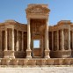 Palmira, la perla del desierto